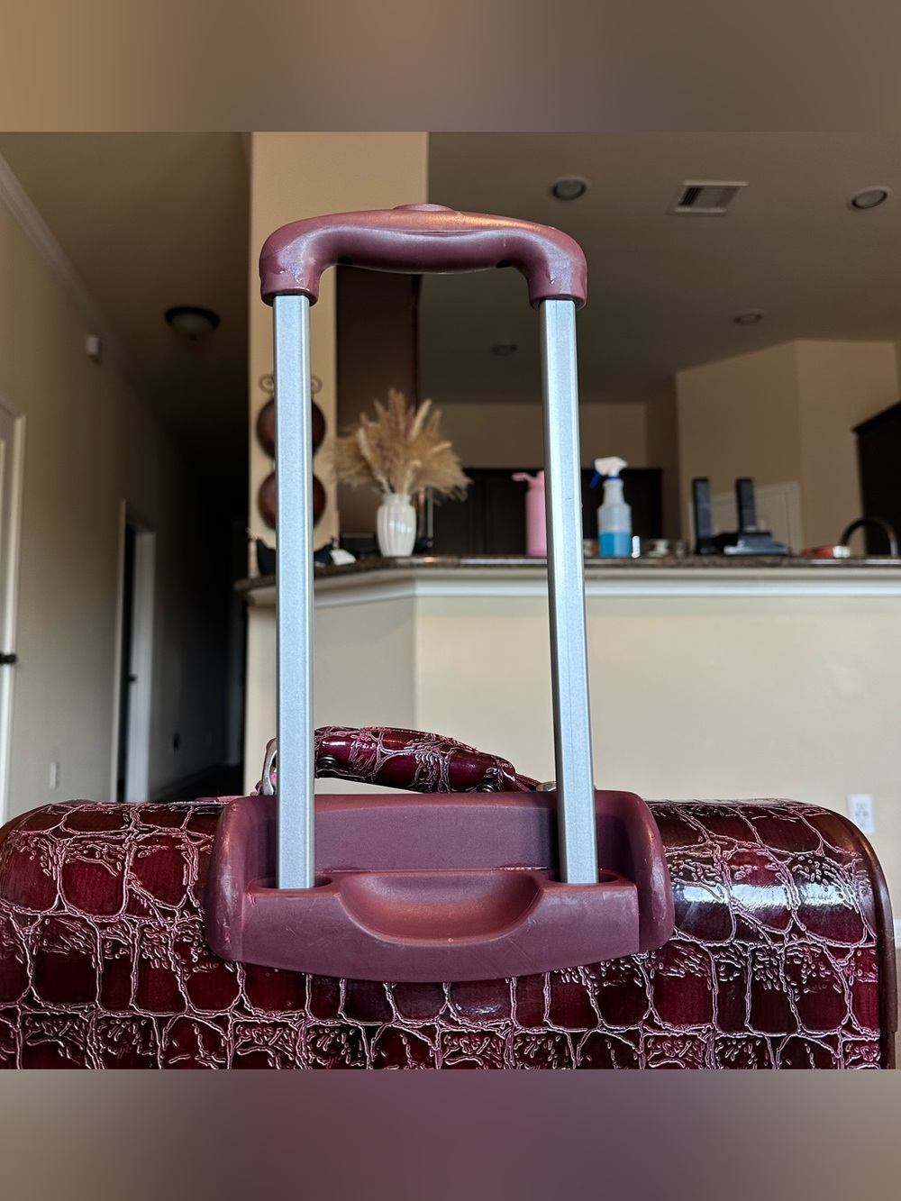 Kathy Van Zeeland Croco PVC 21" Carry On Suitcase Expandable Luggage - Picture 6 of 13